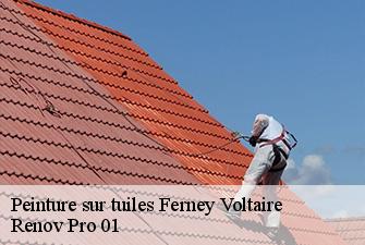 Peinture sur tuiles  ferney-voltaire-01210 Renov Pro 01
