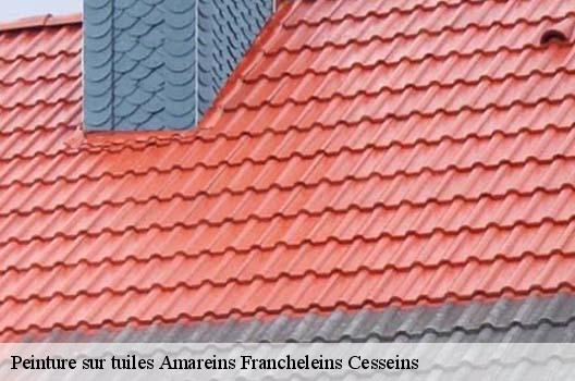 Peinture sur tuiles  amareins-francheleins-cesseins-01090 