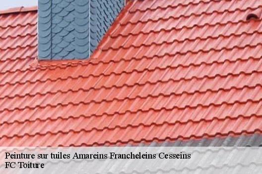 Peinture sur tuiles  amareins-francheleins-cesseins-01090 FC Toiture