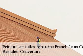 Peinture sur tuiles  amareins-francheleins-cesseins-01090 Beaudier Couverture 