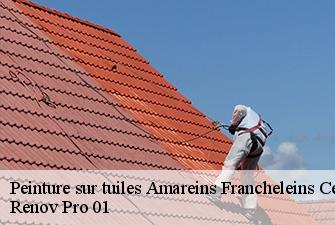 Peinture sur tuiles  amareins-francheleins-cesseins-01090 Renov Pro 01
