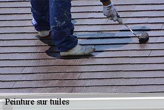 Peinture sur tuiles  genouilleux-01090 Renov Pro 01