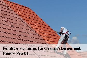 Peinture sur tuiles  le-grand-abergement-01260 Renov Pro 01