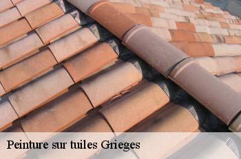 Peinture sur tuiles  grieges-01290 