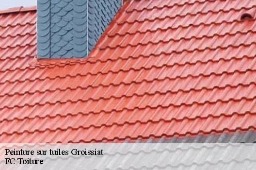 Peinture sur tuiles  groissiat-01810 FC Toiture