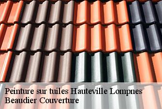 Peinture sur tuiles  hauteville-lompnes-01110 Beaudier Couverture 