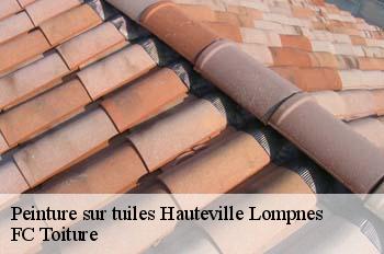 Peinture sur tuiles  hauteville-lompnes-01110 FC Toiture