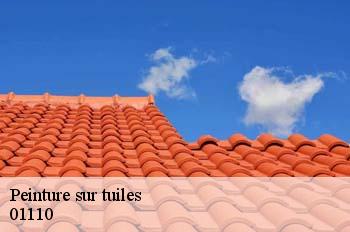 Peinture sur tuiles  hauteville-lompnes-01110 FC Toiture