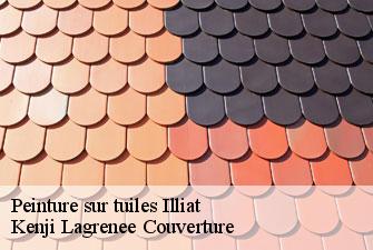 Peinture sur tuiles  illiat-01140 Kenji Lagrenee Couverture