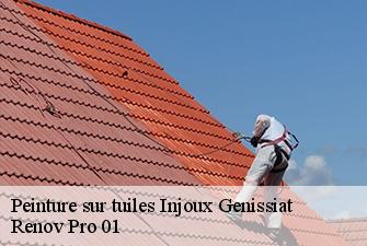Peinture sur tuiles  injoux-genissiat-01200 Renov Pro 01