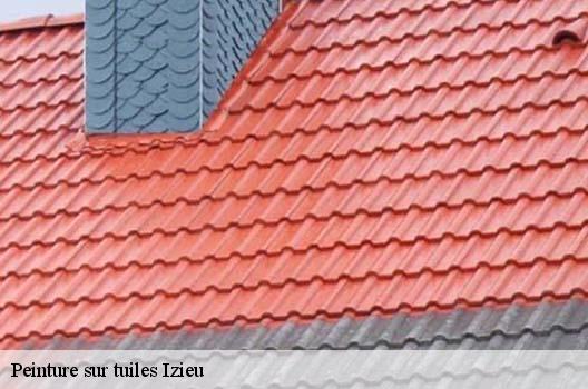 Peinture sur tuiles  izieu-01300 