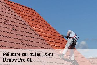 Peinture sur tuiles  izieu-01300 Renov Pro 01