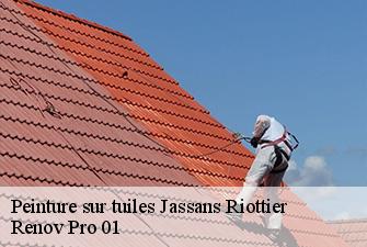 Peinture sur tuiles  jassans-riottier-01480 Renov Pro 01