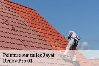Peinture sur tuiles  jayat-01340 Renov Pro 01