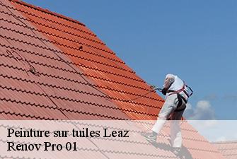 Peinture sur tuiles  leaz-01200 Renov Pro 01