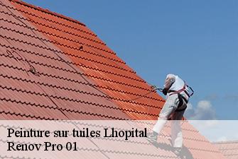 Peinture sur tuiles  lhopital-01420 Renov Pro 01