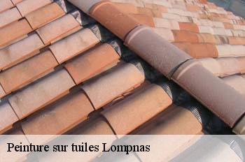 Peinture sur tuiles  lompnas-01680 