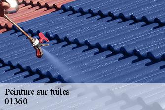 Peinture sur tuiles  loyettes-01360 Renov Pro 01