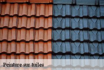 Peinture sur tuiles  lurcy-01090 Kenji Lagrenee Couverture