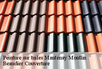 Peinture sur tuiles  mantenay-montlin-01560 Beaudier Couverture 