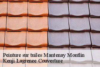 Peinture sur tuiles mantenay-montlin-01560 Kenji Lagrenee Couverture