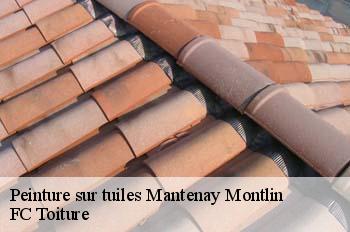 Peinture sur tuiles  mantenay-montlin-01560 