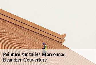 Peinture sur tuiles  marsonnas-01340 Beaudier Couverture 