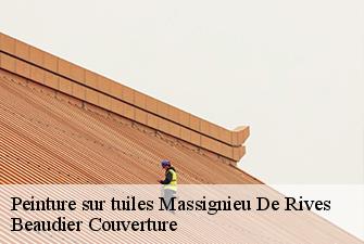 Peinture sur tuiles  massignieu-de-rives-01300 Beaudier Couverture 