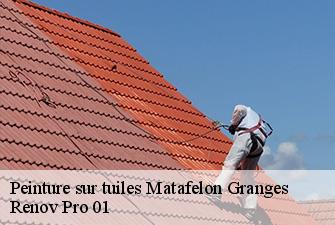 Peinture sur tuiles  matafelon-granges-01580 Renov Pro 01