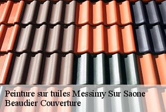 Peinture sur tuiles  messimy-sur-saone-01480 Beaudier Couverture 