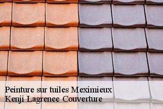Peinture sur tuiles  meximieux-01800 Kenji Lagrenee Couverture