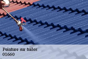 Peinture sur tuiles  mezeriat-01660 Renov Pro 01