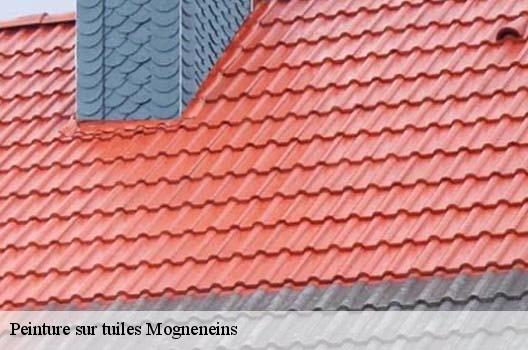 Peinture sur tuiles  mogneneins-01140 