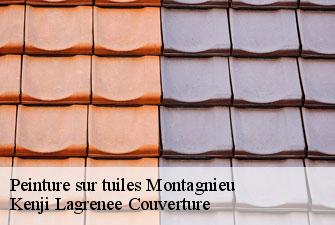 Peinture sur tuiles  montagnieu-01470 Kenji Lagrenee Couverture