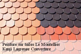 Peinture sur tuiles le-montellier-01800 Kenji Lagrenee Couverture
