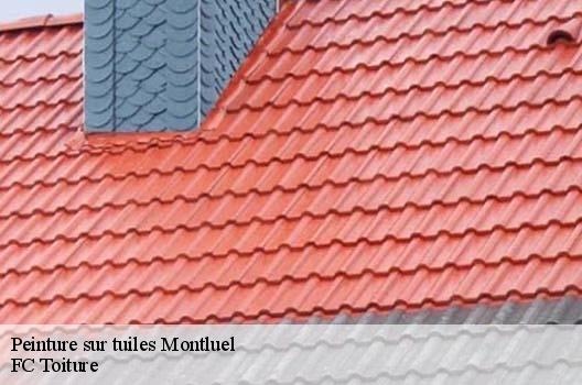 Peinture sur tuiles  montluel-01120 FC Toiture