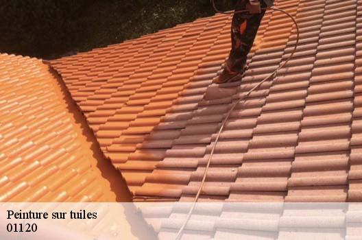 Peinture sur tuiles  montluel-01120 FC Toiture