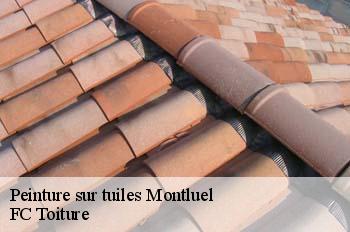 Peinture sur tuiles  montluel-01120 FC Toiture