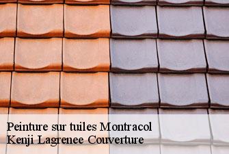 Peinture sur tuiles montracol-01310 Kenji Lagrenee Couverture