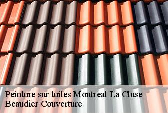Peinture sur tuiles  montreal-la-cluse-01460 Beaudier Couverture 