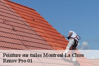 Peinture sur tuiles  montreal-la-cluse-01460 Renov Pro 01