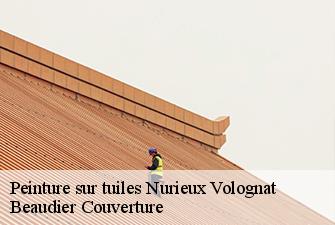 Peinture sur tuiles  nurieux-volognat-01460 Beaudier Couverture 