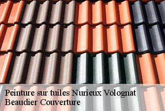 Peinture sur tuiles  nurieux-volognat-01460 Beaudier Couverture 