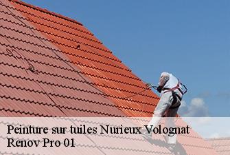 Peinture sur tuiles  nurieux-volognat-01460 Renov Pro 01