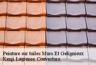 Peinture sur tuiles  murs-et-gelignieux-01300 Kenji Lagrenee Couverture
