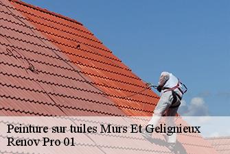 Peinture sur tuiles  murs-et-gelignieux-01300 Renov Pro 01