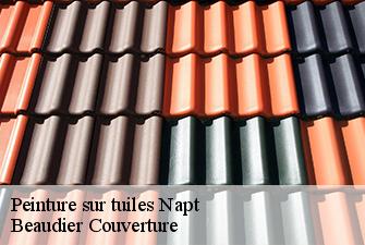 Peinture sur tuiles  napt-01580 Beaudier Couverture 