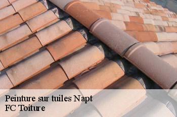 Peinture sur tuiles  napt-01580 FC Toiture