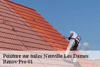 Peinture sur tuiles  neuville-les-dames-01400 Renov Pro 01