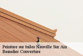 Peinture sur tuiles  neuville-sur-ain-01160 Beaudier Couverture 